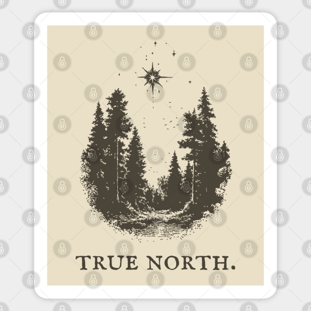 True North Star and Forest Illustration Sticker by TuncGK